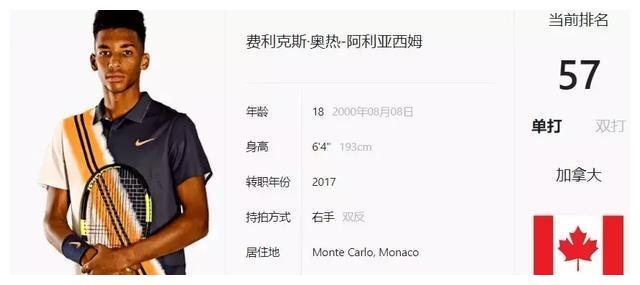 黄金档晚间 黄金档晚间